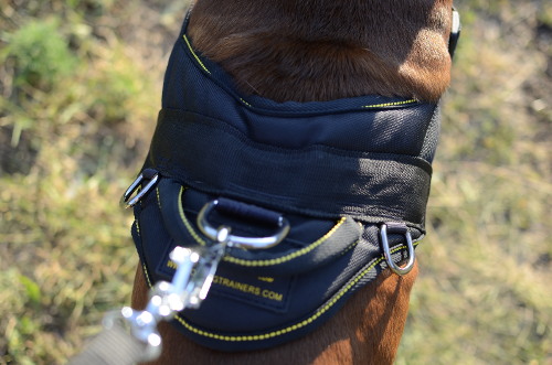 Dog Harness Control Pulling for Boxer