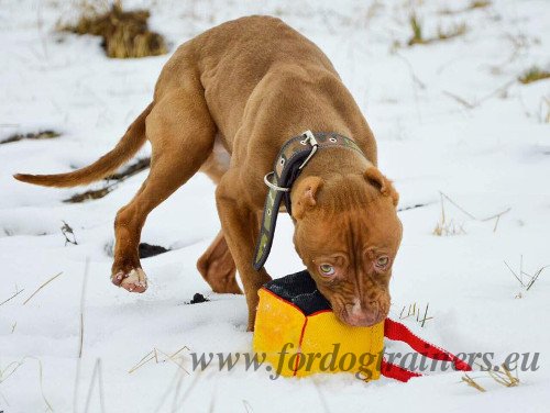 Handgefertigte Beisskissen fr Hund