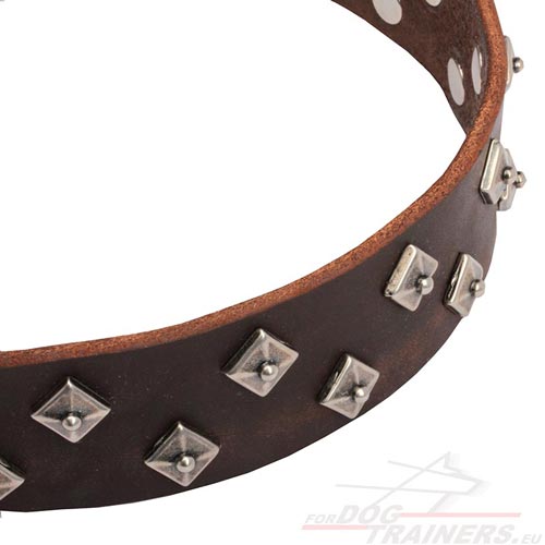 Brown Handcrafted Dog Collar with Square Studs