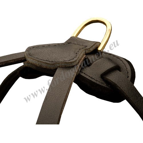 Multifunctional Leather Dog Harness