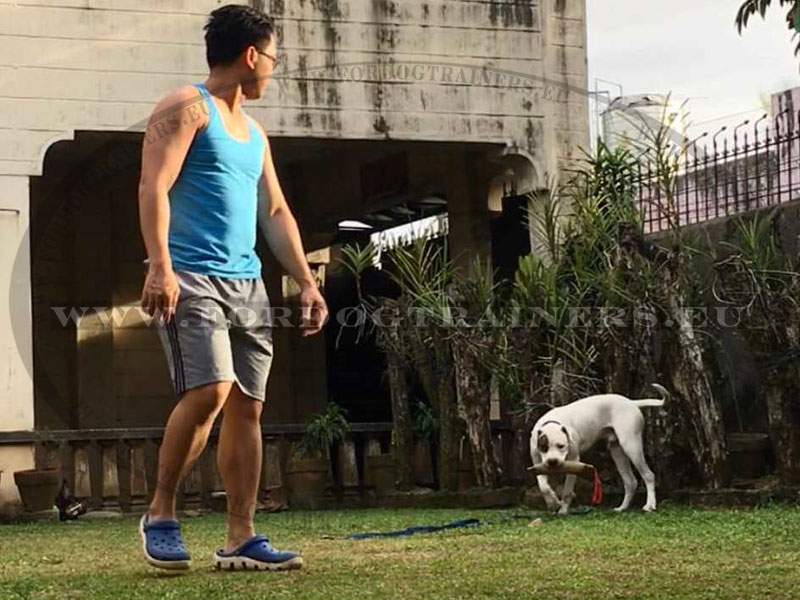 Jute Bite Tug Prey Drive with 1 or 2 Handles [TE251057 Riporto da