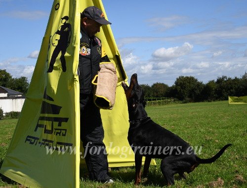 Dog Training Bite Sleeve with Jute Cover