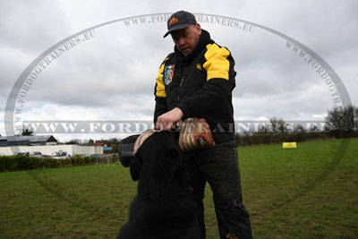 ProDogTrainers FDT Cap