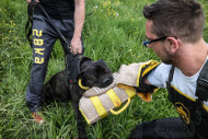 Bite Training Sleeve for American Bandog Education