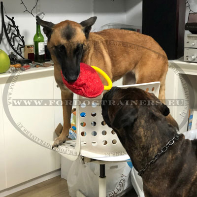 Bite Pad for Malinois Training