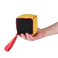 Coussin de mordant en forme de cube pour chien