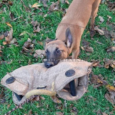 Biting Developer for Dog Made of Jute