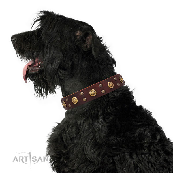 Luxury Pet Collar for Extra Large Dogs