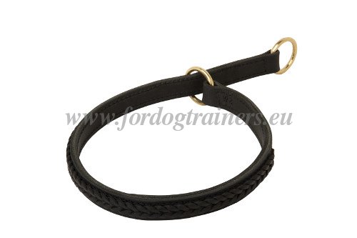 Dog
Choking Collar with Braid