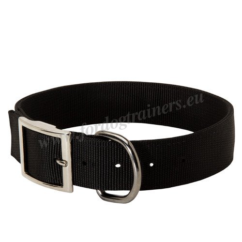 Nylon Dog Collar for Training