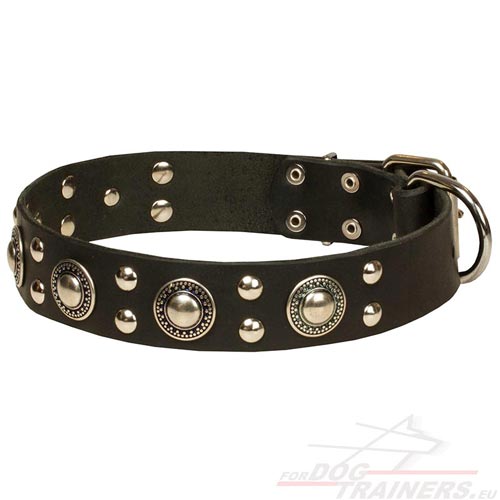 Mooie Leren Halsband met Versiering