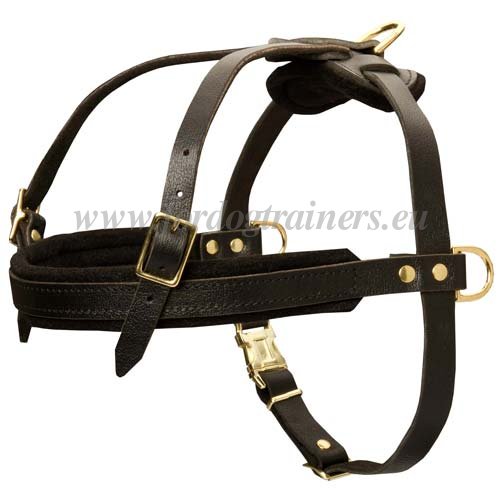 Dog Tracking Pulling Harness