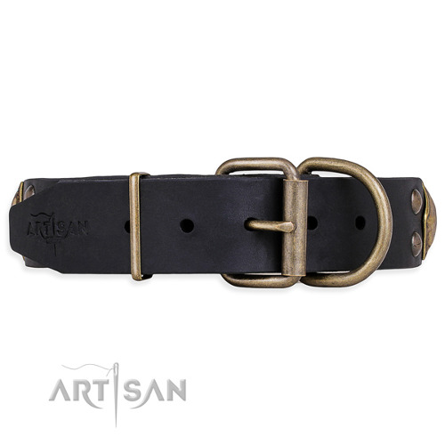 Brass Studded Leather Dog Collar