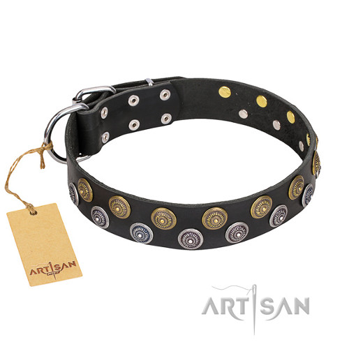 Lederen Honden Halsband met Messing
Versieringen