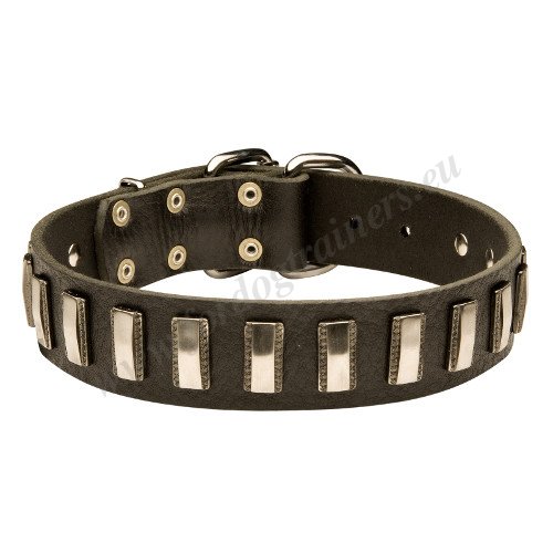 Leather Dog Collar Reliable