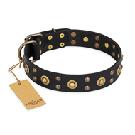 Black Studded Collar "Cosmic Glow" FDT Artisan for Dogs