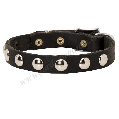 Fancy Studded Dog Collar