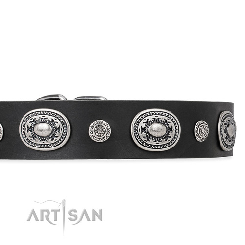 Luxury Pet Collar with Silvery Studs