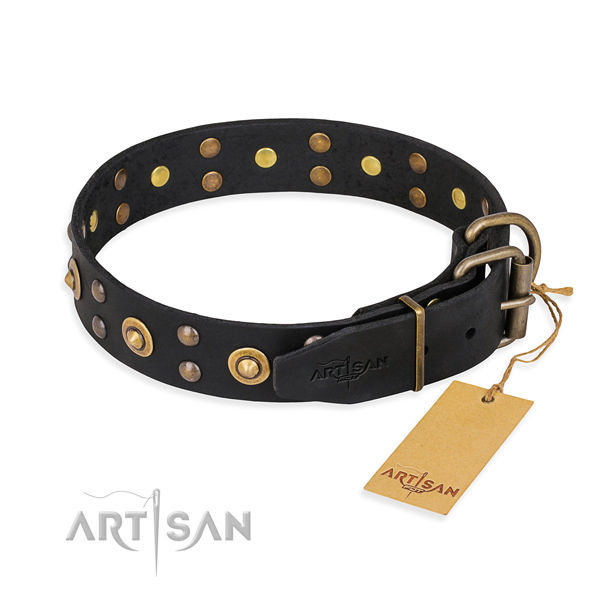 Studded Leather Dog Collar with Brass