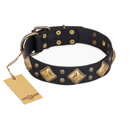 Black Dog Collar with Adornments "Fancy-Schmancy" FDT Artisan