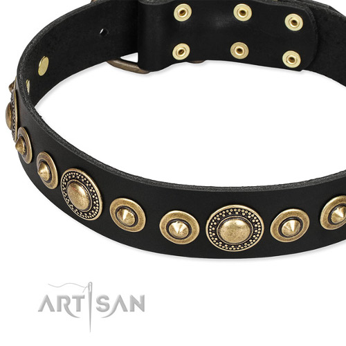 Designer Studded Collar for Dogs