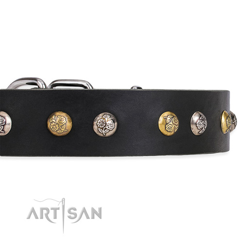 Handmade Collars for Dogs with Studs