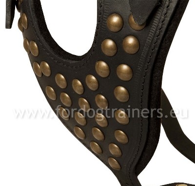 High Quality Leather Dog Harness with Studded