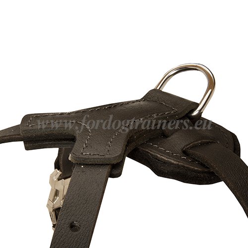 Black Leather Dog Harness for Sale with Spikes