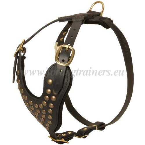 NO Biting Leather Padded Dog Muzzle Studded Adjustable for Medium Dogs Bulldog 