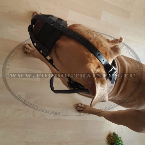 Leather Basket Dog Muzzle Handcrafted