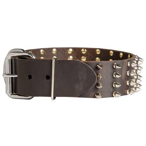 Dog Collar Leather with Spikes