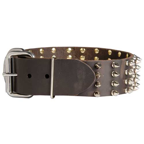 Hundehalsband Leder mit Spikes