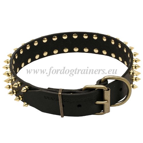 Leather Dog Collar Spiked