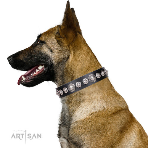 Luxury Leather Dog Collars for Malinois