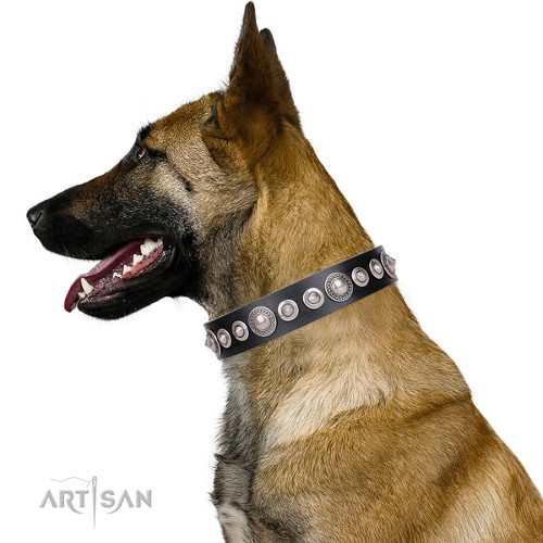 Luxe trendy honden halsband voor Mechelse herder