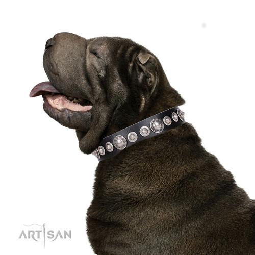 Shar-pei leer honden halsband met verchroomde studs