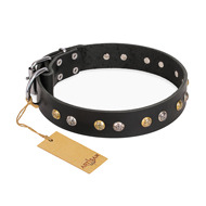 Black Leather Dog Collar