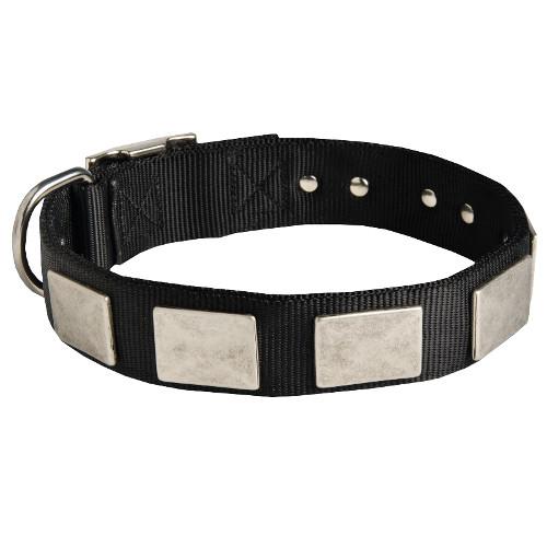 Nylon Dog
Collar Plated