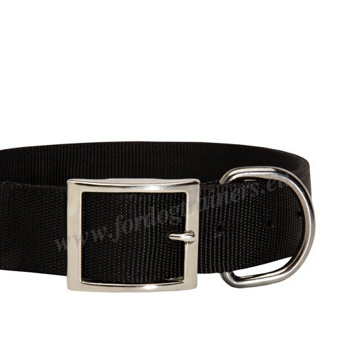 Durable Hardware of Nylon Dog Collar