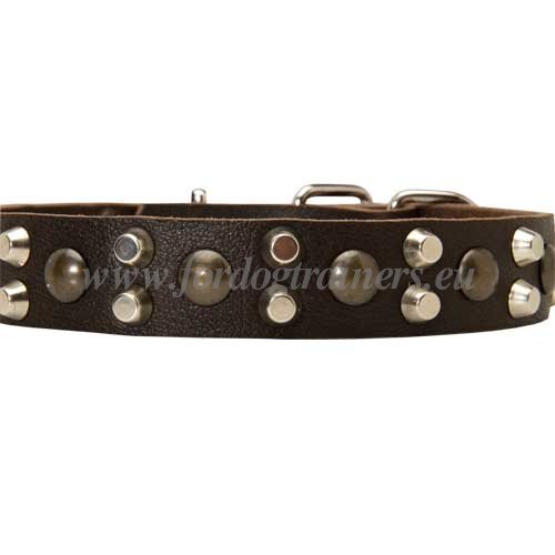 Large Leather Studded Dog Collars for Handling