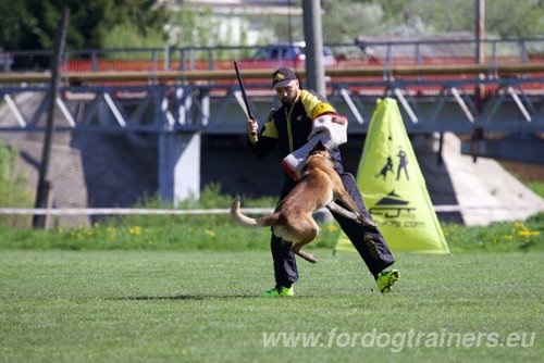 Blind for IPO Training