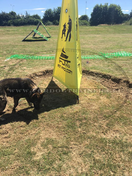 Blind for Dog Field Training