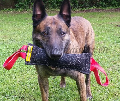 Salsicciotto da mordere con due maniglie per cane