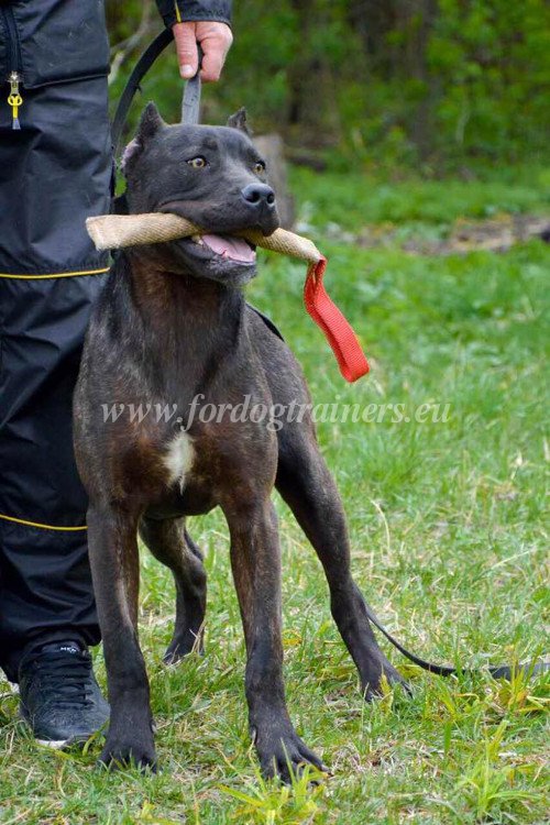 Boudin à une poignée pour grand chien