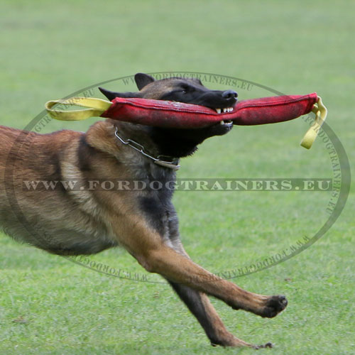 Chien de travail boudin mordant