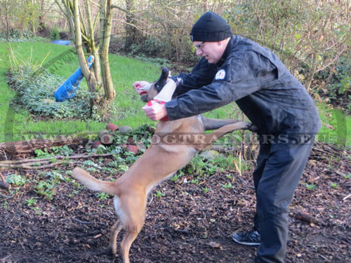 Boudin de dressage pour grand chiens