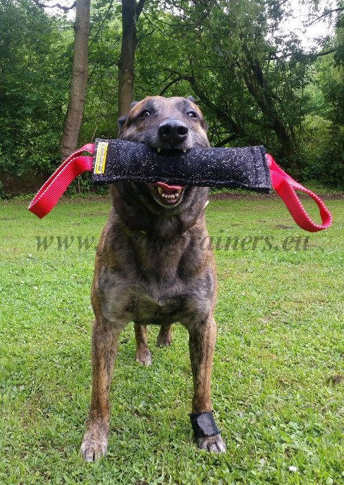 Boudin de dressage au mordant pour chien