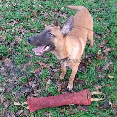 Boudin de rapport en matriel durable pour Malinois