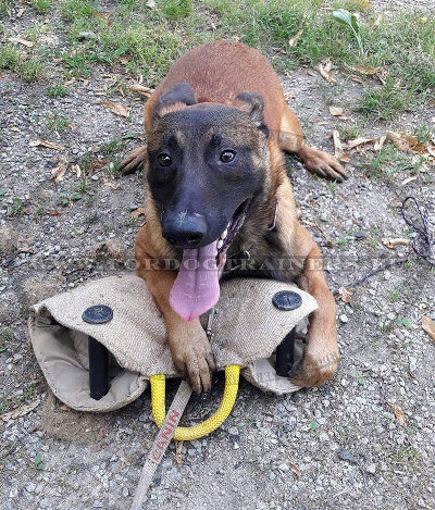 Boudin de rappel boudin en jute Malinois