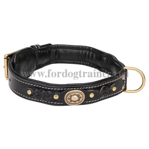 Lederhalsband fr Hund mit Flechten Dekor